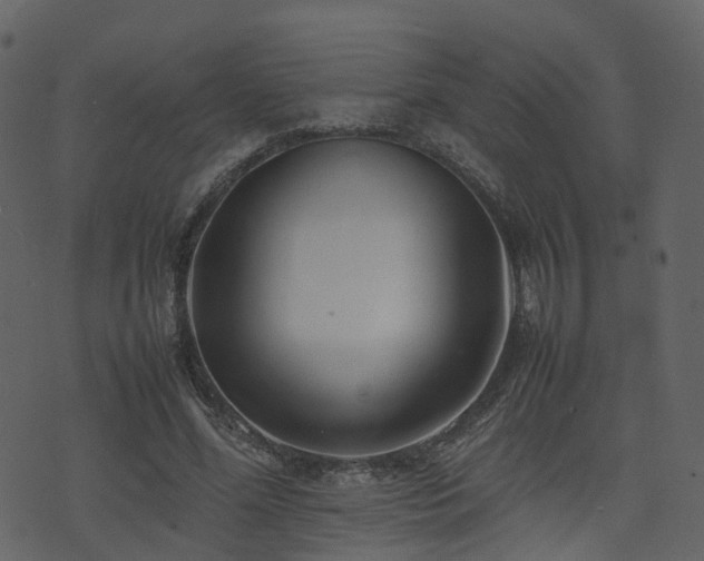 X0000074230588200608251115