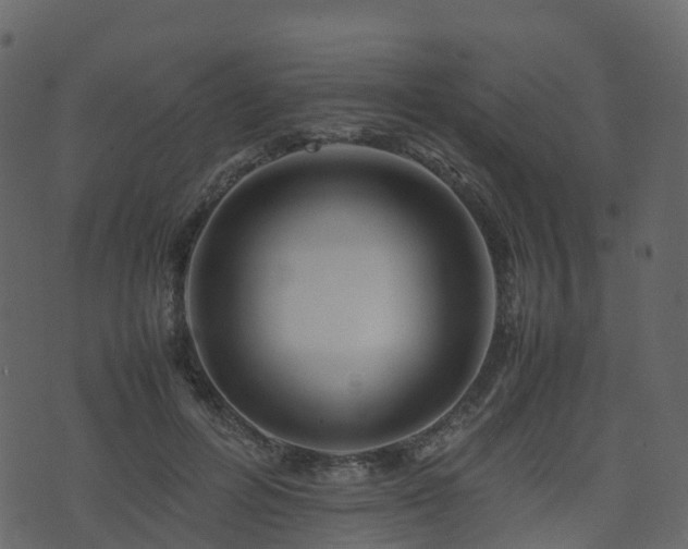 X0000074230600200608251115