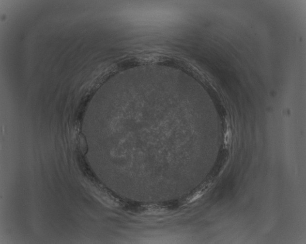 X0000074230601200608251115