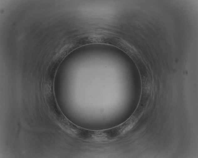 X0000074230603200608251115