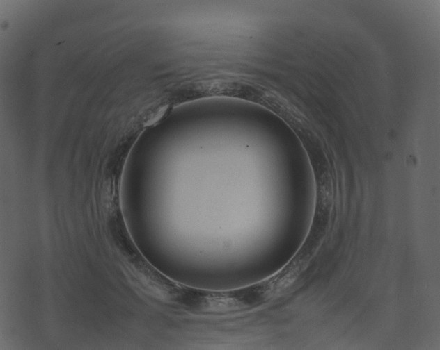 X0000074230605200608251115