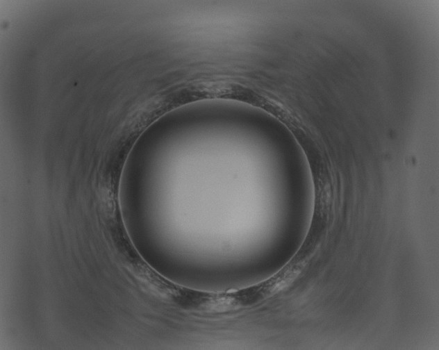 X0000074230609200608251115
