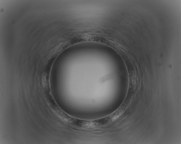 X0000074230611200608251115