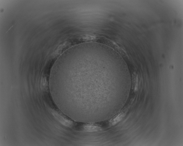 X0000074230614200608251115