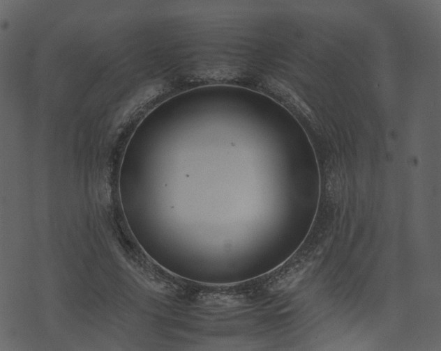 X0000074230635200608251114