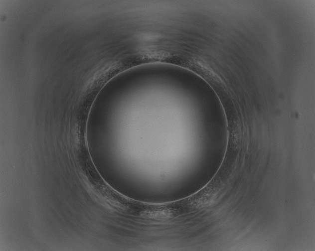 X0000074230639200608251114