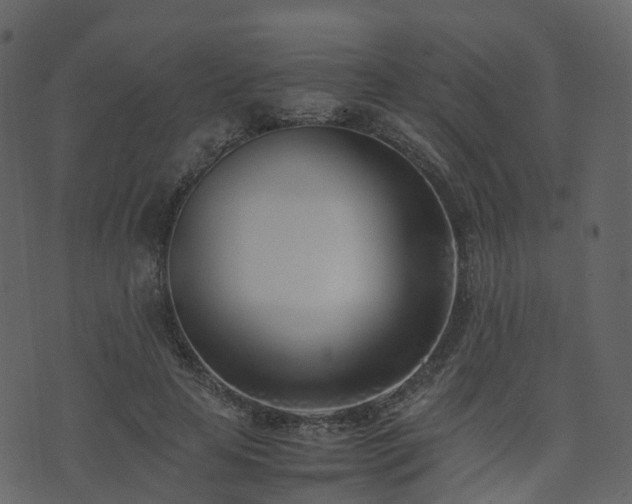 X0000074230641200608251114