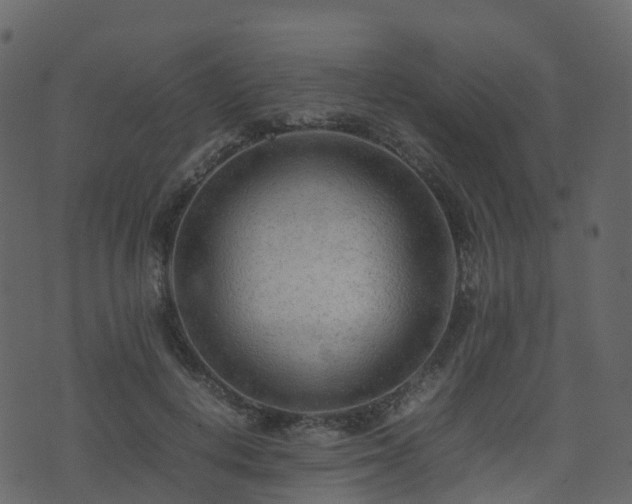 X0000074230648200608251114