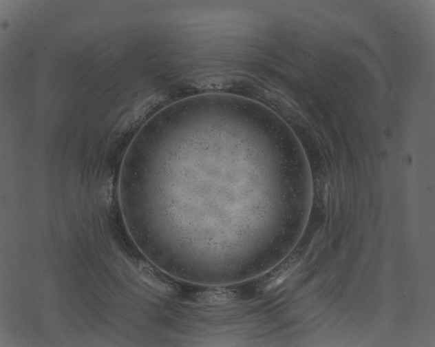 X0000074230652200608251114