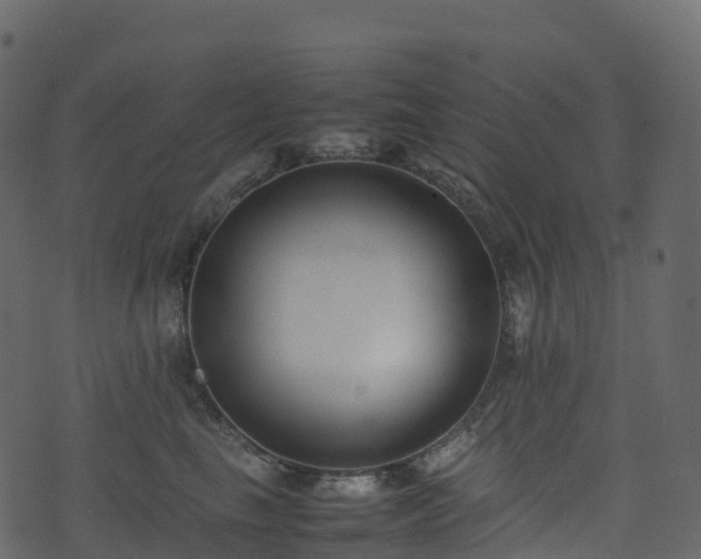 X0000074230665200608251114