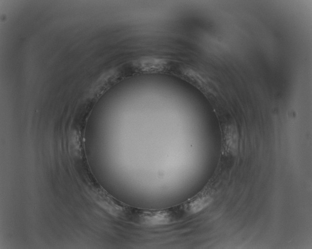 X0000074230667200608251115