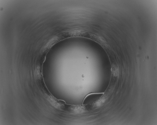 X0000074230670200608251115