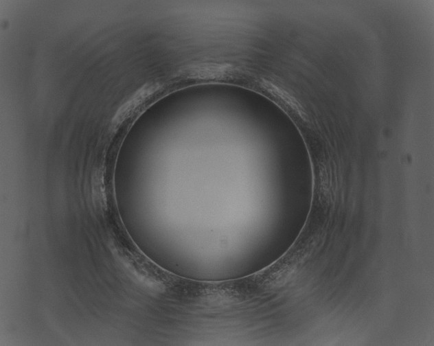 X0000074230682200608251114