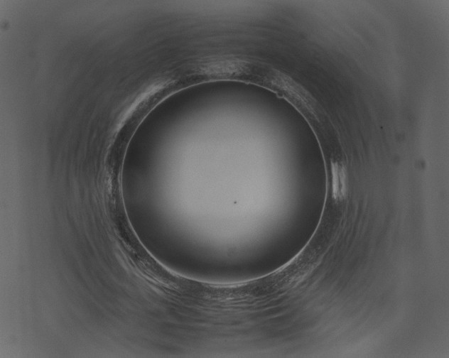 X0000074230723200608251112