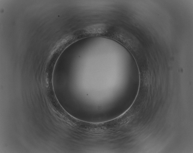 X0000074230731200608251112