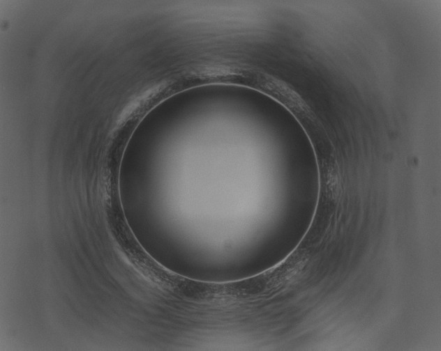 X0000074230732200608251112