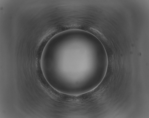 X0000074230735200608251112