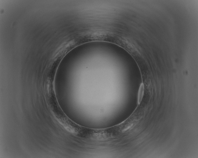 X0000074230744200608251113