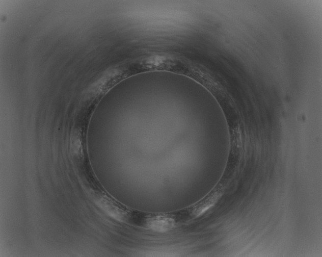 X0000074230754200608251113