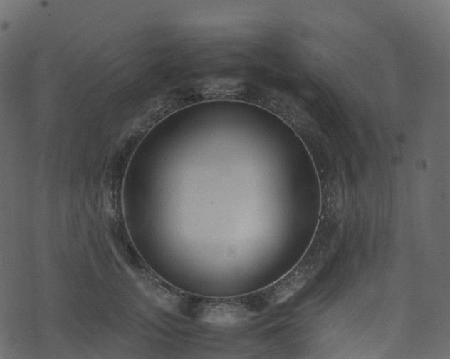 X0000074230755200608251113
