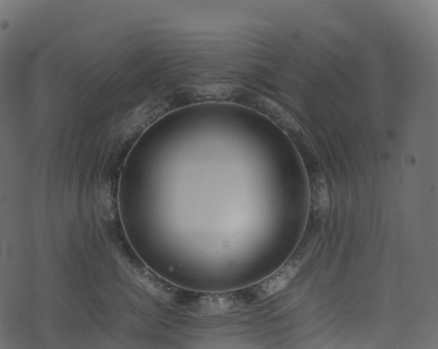 X0000074230764200608251113