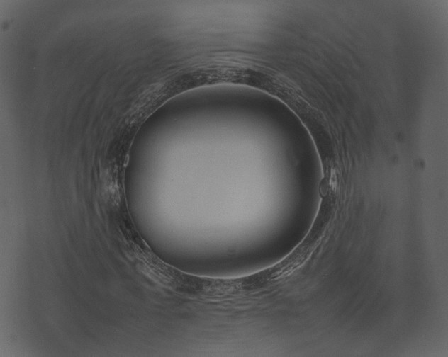 X0000074230771200608251112