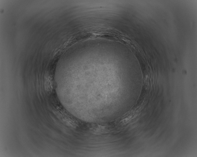 X0000074230772200608251112