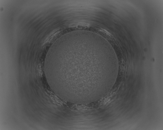 X0000074230774200608251112