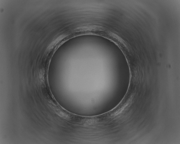 X0000074230778200608251112