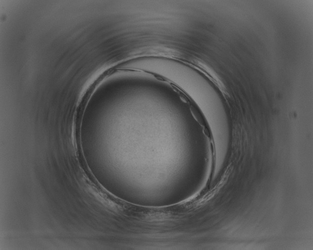 X0000074230788200608251112