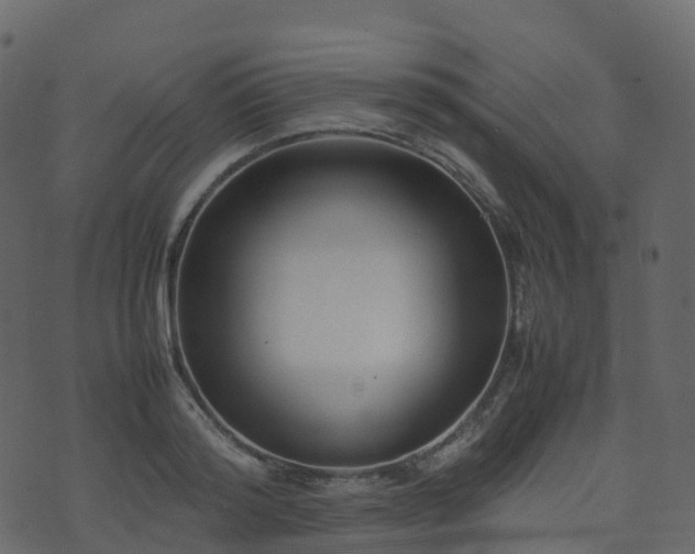 X0000074230796200608251112