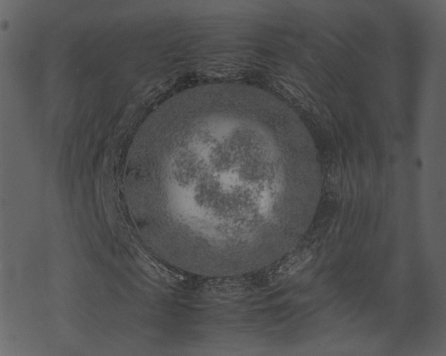 X0000074230817200608251111
