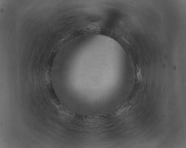 X0000074230819200608251111