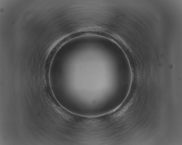 X0000074230830200608251111