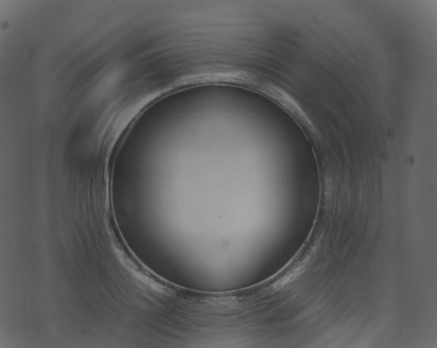 X0000074230844200608251111