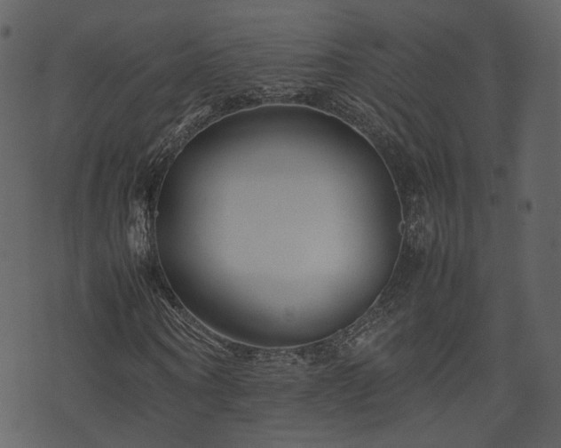 X0000074230866200608251111