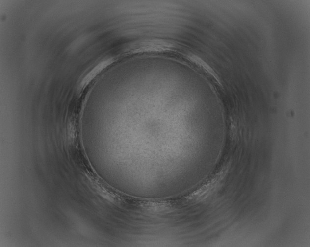 X0000074230874200608251111