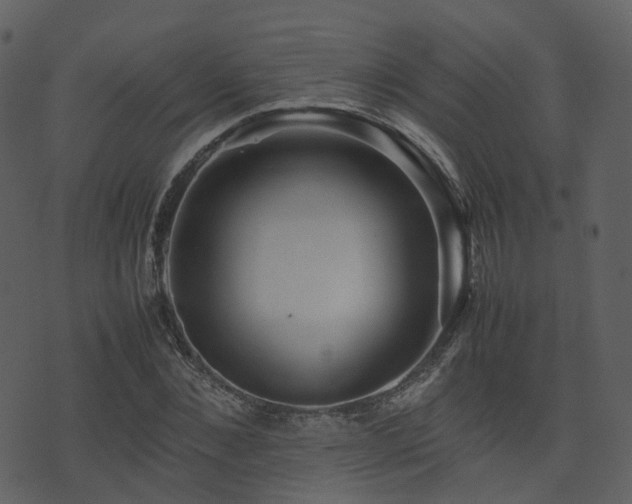 X0000074230876200608251111