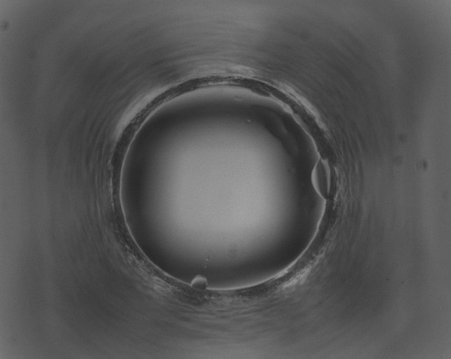 X0000074230877200608251111