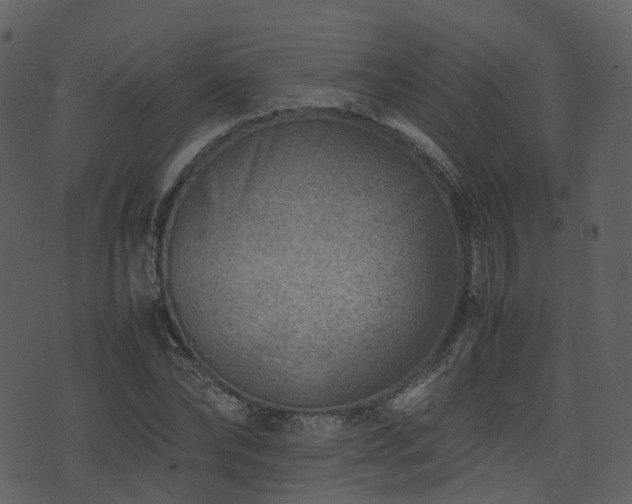 X0000074230878200608251110