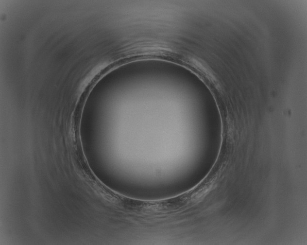 X0000074230883200608251110