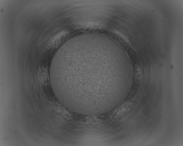 X0000074230918200608251109