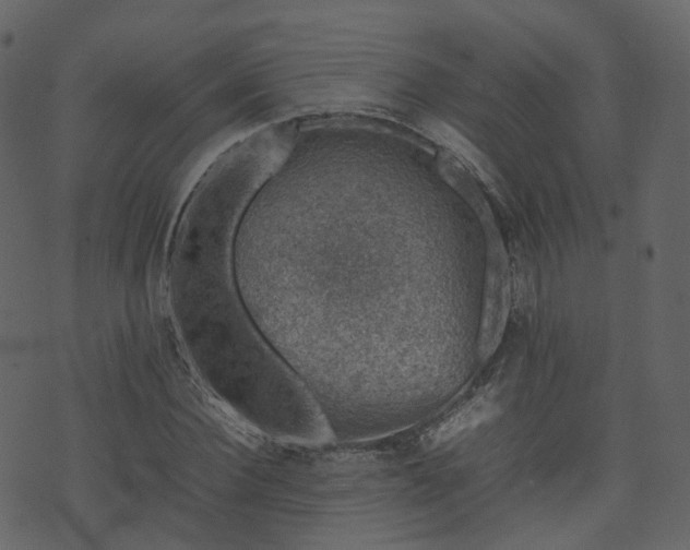 X0000074230924200608251109