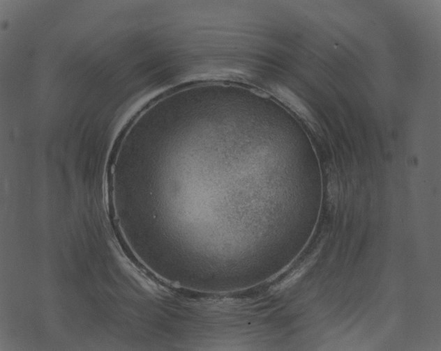 X0000074230940200608251110