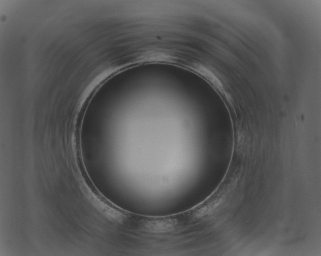 X0000074230947200608251110