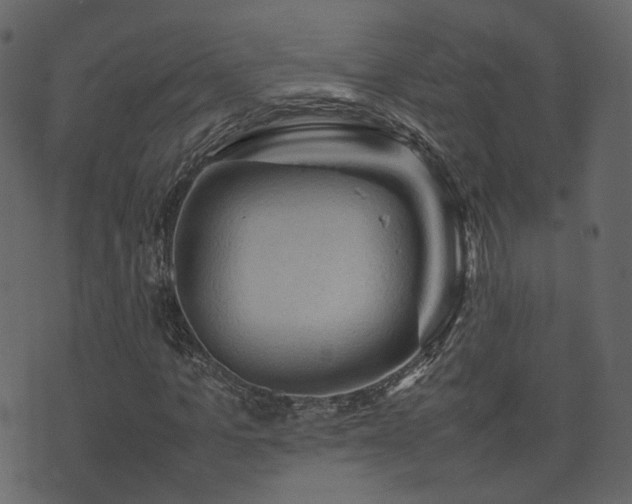 X0000074230965200608251109
