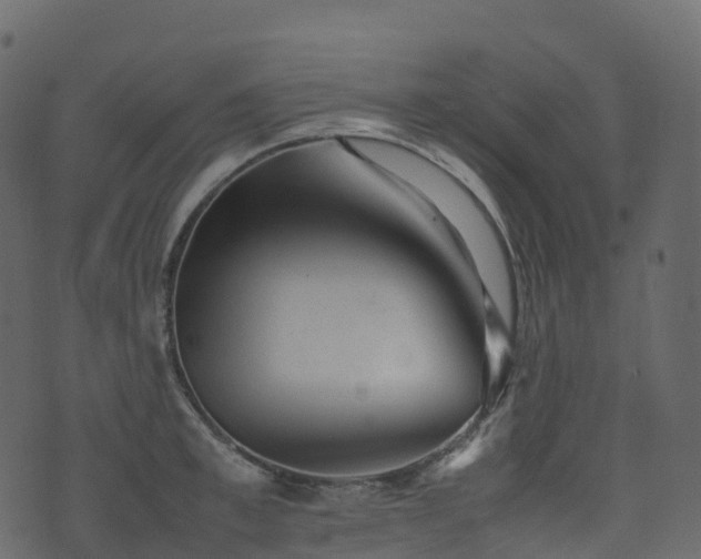 X0000074230997200608251109
