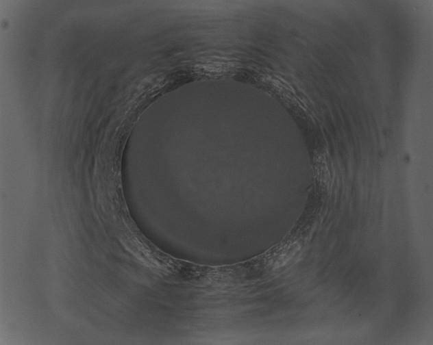 X0000074231009200608251108