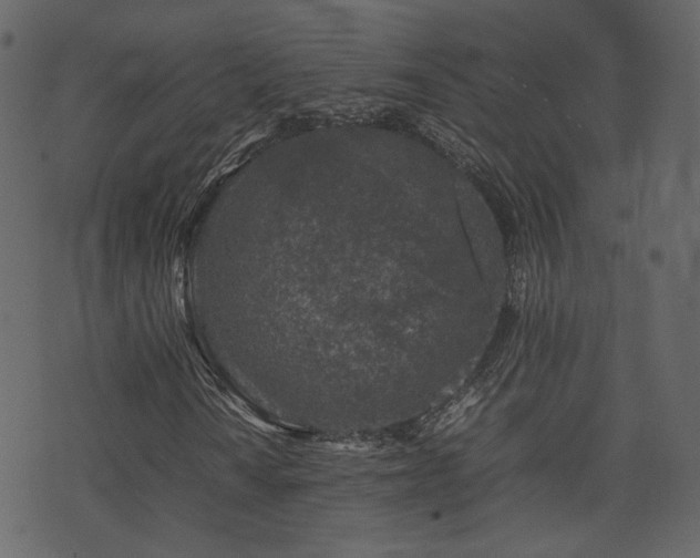 X0000074231010200608251108