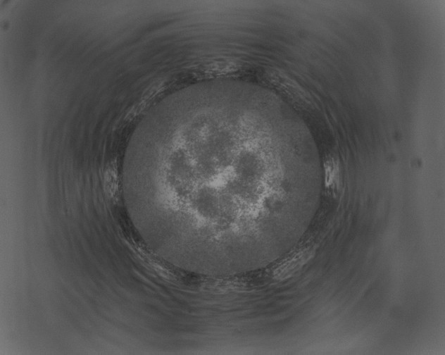 X0000074231011200608251108